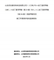 山東祥東新材料科技有限公司1.2萬噸/年6-叔丁基鄰甲(60K)、4-叔丁基鄰甲酚(偏 24 酚)和 4，6-二叔丁基鄰甲酚(偏 246 酚)烷基甲酚項目竣工環(huán)境保護(hù)驗收監(jiān)測報告